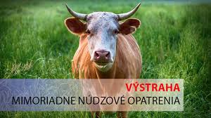 Mimoriadne núdzové opatrenie – slintačka a krívačka 2025 1
